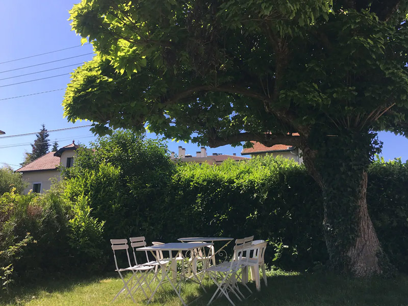 Catalpa